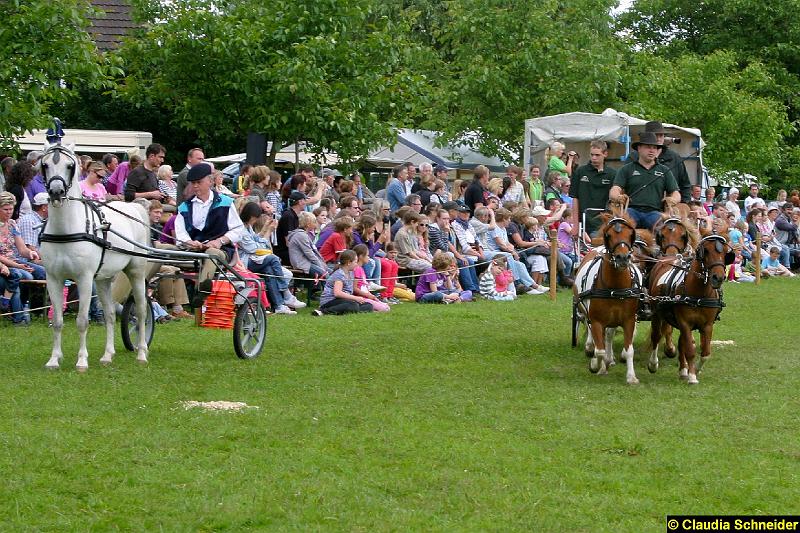 Ponytag Bosbach 2012-016.jpg